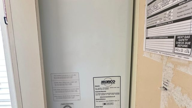012 Rio Gold Boiler