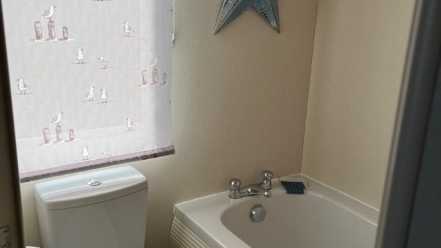 011 Atlas Onyx Bathroom